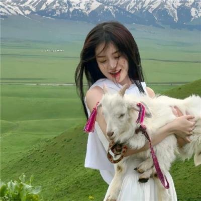旧梦不须记粤语